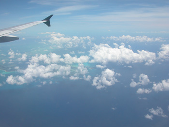 DSCN2986
