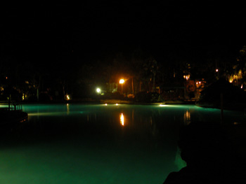 DSCN3007