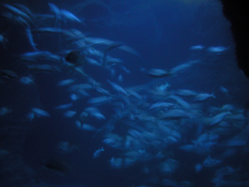 DSCN3015