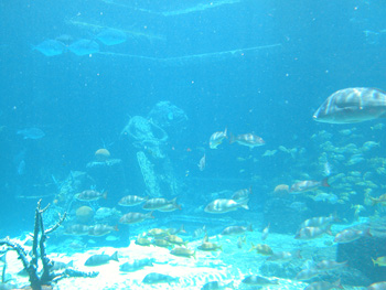 DSCN3043