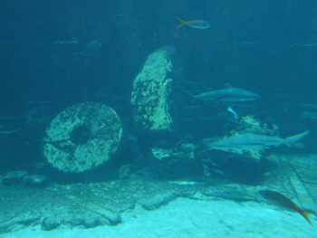 DSCN3046