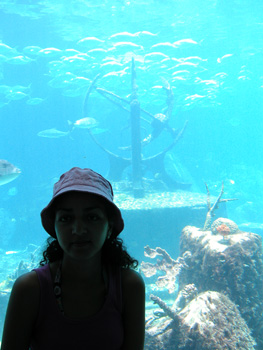 DSCN3047
