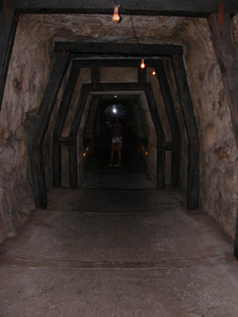 DSCN3050