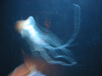 DSCN3058