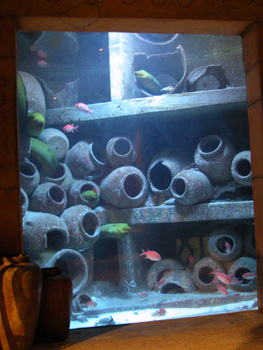 DSCN3062