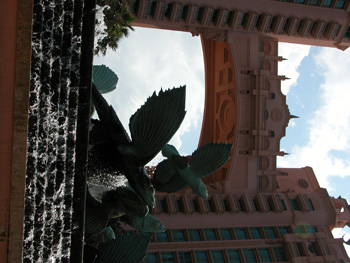 DSCN3077