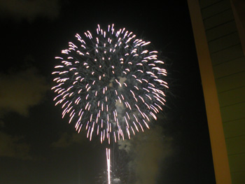 DSCN3110