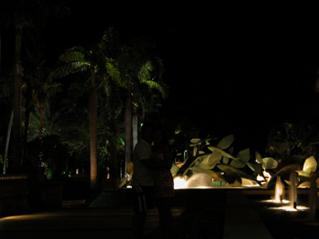 DSCN3117