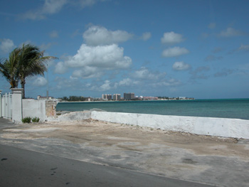DSCN3176
